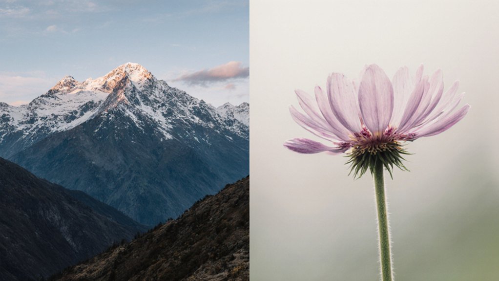 transfer learning or fine tuning